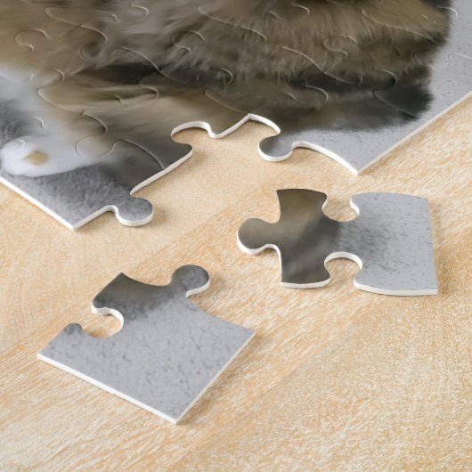 Cat attacks the teaser toy puzzle (Côté)