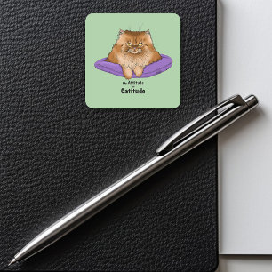 Cat Attitude Grappig Vierkante Sticker