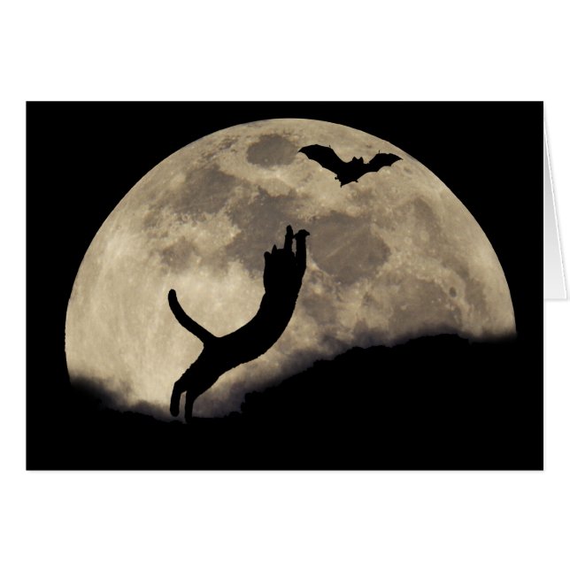 Cat Bat Moon (Voorkant Horizontaal)