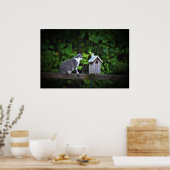 Cat & Birdhouse Poster (Keuken)