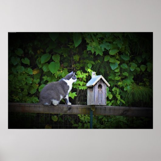 Cat & Birdhouse Poster (Voorkant)