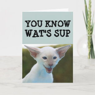 CAT BIRTHDAY FUNNY CARD KAART