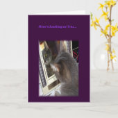 Cat Birthday Kaart voor haar (Gele Bloem)