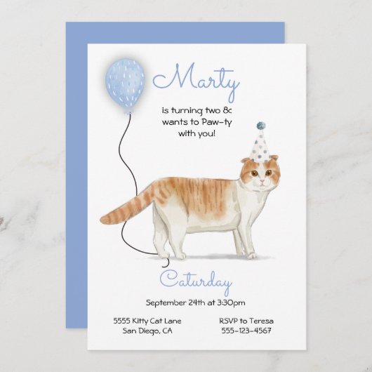 Cat Birthday Party Invitation Kaart (Voorkant / Achterkant)