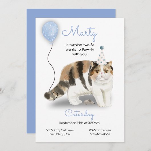 Cat Birthday Party Invitation Kaart (Voorkant / Achterkant)