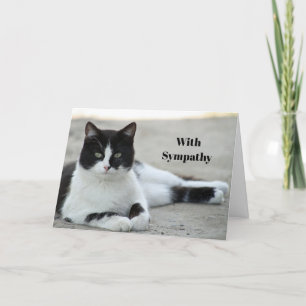 Cat Black and White Tuxedo Photo Sympathy Kaart