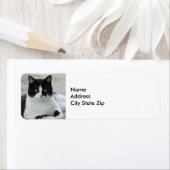 Cat Black en White Tuxedo Photo Etiket (Insitu)