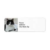Cat Black en White Tuxedo Photo Etiket (Voorkant)