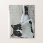 Cat Black en White Tuxedo Photo Legpuzzel (Verticaal)