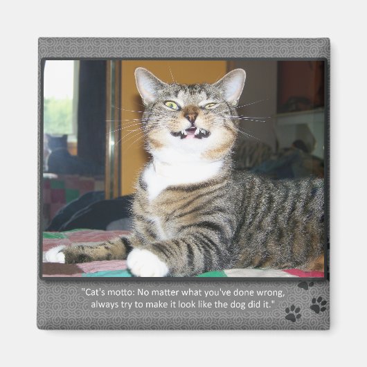 Cat Blames Dog Magneet (Voorkant)