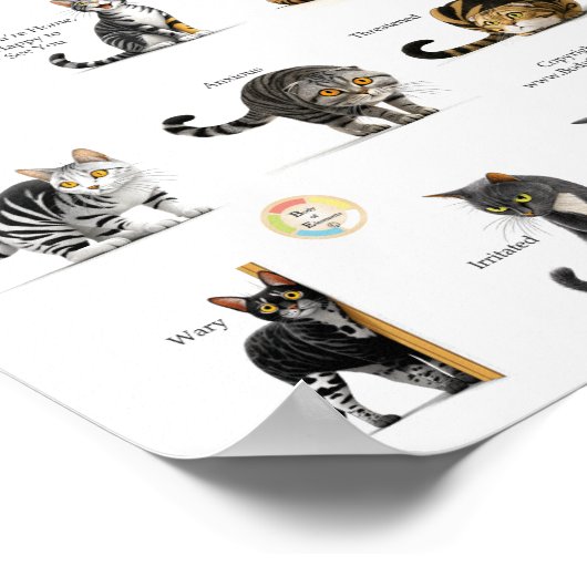 Cat Body Language Chart Poster (Hoek)