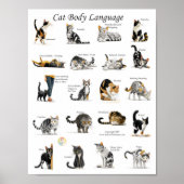 Cat Body Language Chart Poster (Voorkant)