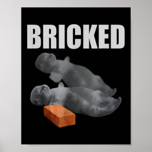 Cat Bricked Funny Knocked Out Meme Gekke Katten Sa Poster