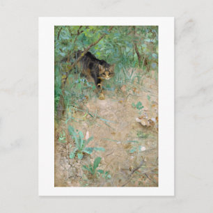 Cat, Bruno Liljefors Briefkaart