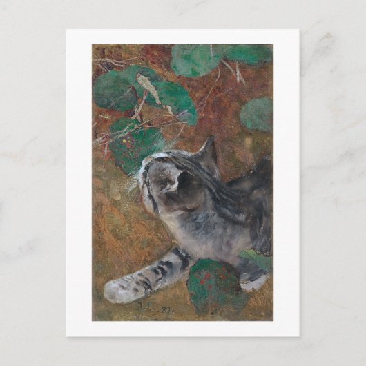 Cat, Bruno Liljefors Briefkaart (Voorkant)