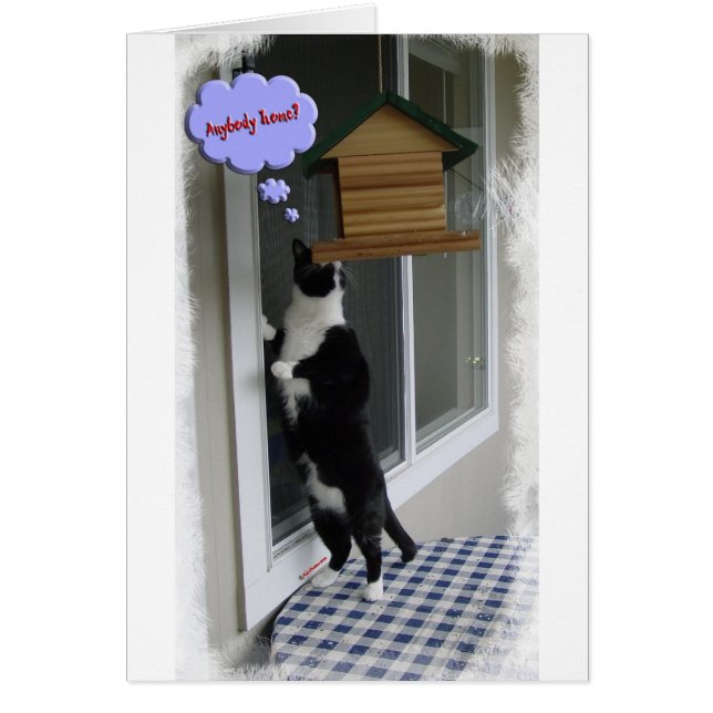 Cat Burglar (Voorkant)