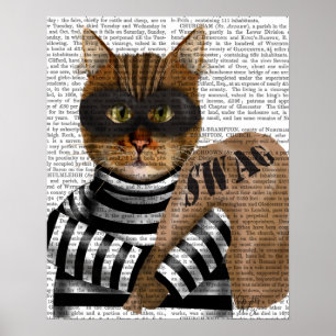 Cat Burglar Poster