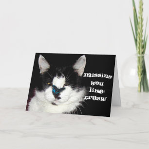CAT & BUTTERFLY Missing You Card Feestdagen Kaart