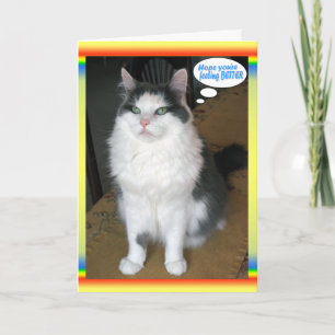 Cat Cards, grappig, goed Kaart
