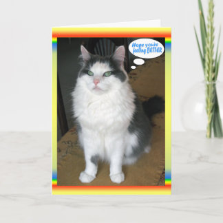 Cat Cards, grappig, goed Kaart