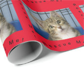 Cat Cat Cat Cat Wrapping Paper Cadeaupapier (Rol Hoek)