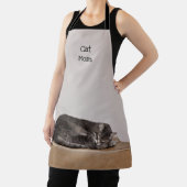 Cat Cat Cat Cute Gray Slaping Box Cat Mam Schort (Insitu)