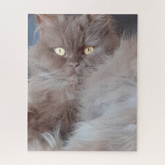 Cat Cat Cat Puzzle Puzzle (Vertical)