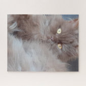 Cat Cat Cat Puzzle Puzzle (Horizontal)