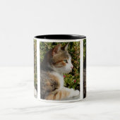 Cat Cat Mug (Centre)