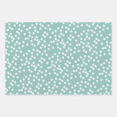 Cat Cat Pattern Cute Aqua Green Kerstmis Inpakpapier Vel (Voorkant 2)