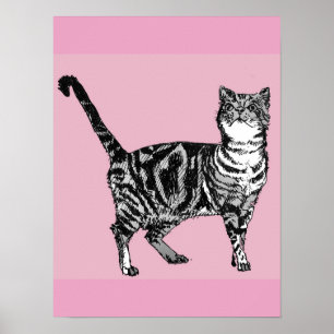 Cat Cats Poster