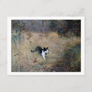 Cat Caught a Bird, Bruno Liljefors Briefkaart