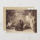  Cat Christmas Briefkaart (Voorkant / Achterkant)