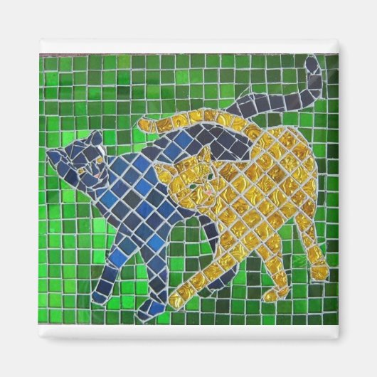 Cat Chums Magneet (Voorkant)