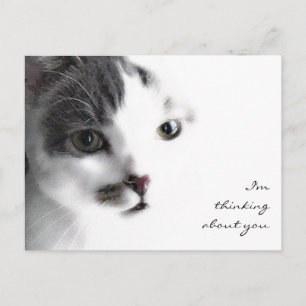 Cat Close-up denking about You Briefkaart