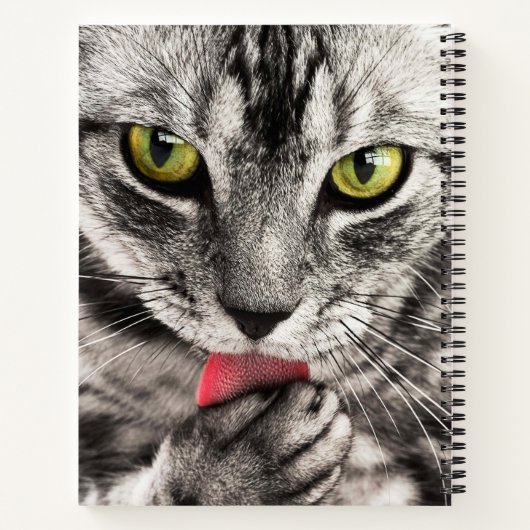 Cat Close Up Spiraal Notitieboek (Achterkant)