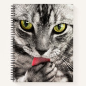 Cat Close Up Spiraal Notitieboek (Voorkant)