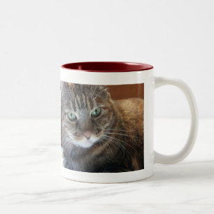 Cat Coffee-Mok Tweekleurige Koffiemok