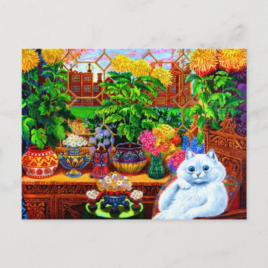 Cat College Master Briefkaart (Voorkant)