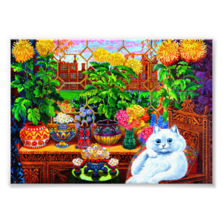 Cat College Master Foto Afdruk