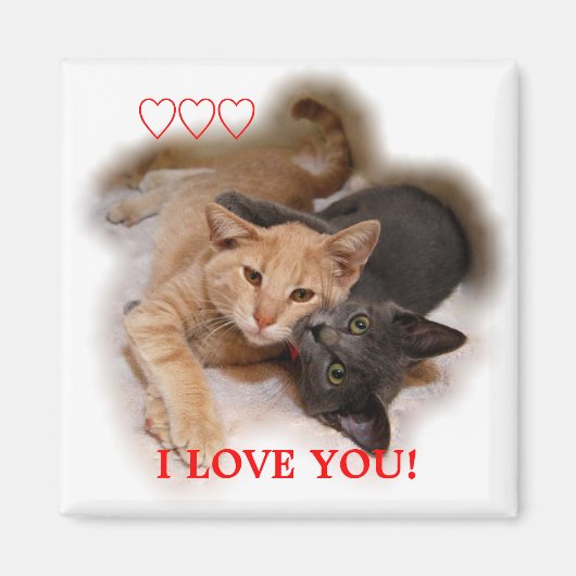 Cat Couple I Love You Magnet (Devant)