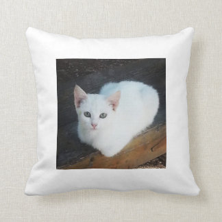 Cat Cushion Kussen