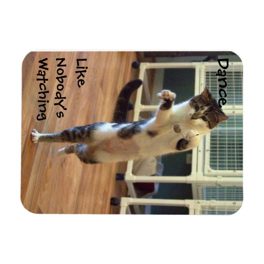 Cat Dance Magneet (Horizontaal)