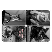 cat day black white red  magneet (Horizontaal)