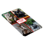 cat day  magneet (Rechterzijde)