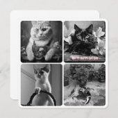 Cat Day Zwart Wit Rood (Voorkant / Achterkant)