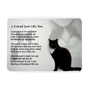 Cat Design vriend Gedichtenmagneet Magneet