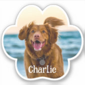 Cat Dog Paw Photo Custom Cut Vinyl Sticker (Devant)
