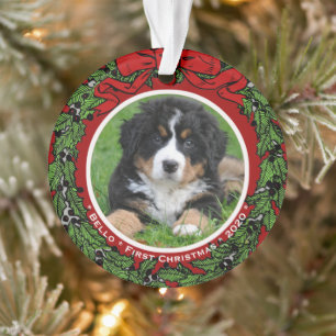 Cat Dog photo First Christmas Berries