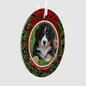 Cat Dog photo Premières baies de Noël (devant)